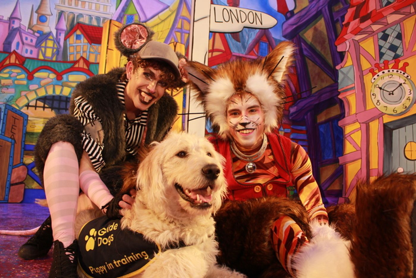 Photos: DICK WHITTINGTON Cast At The Belgrade Theatre Joined On Stage By Guide Dog Puppies Photos: DICK WHITTINGTON Cast At The Belgrade Theatre Joined On Stage By Guide Dog Puppies Image