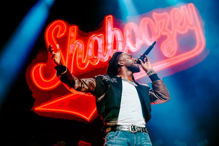 Photos: Inside iHeartRadio's Jingle Ball with Meghan Trainor, Paris Hilton, & More — photo 6 of 34