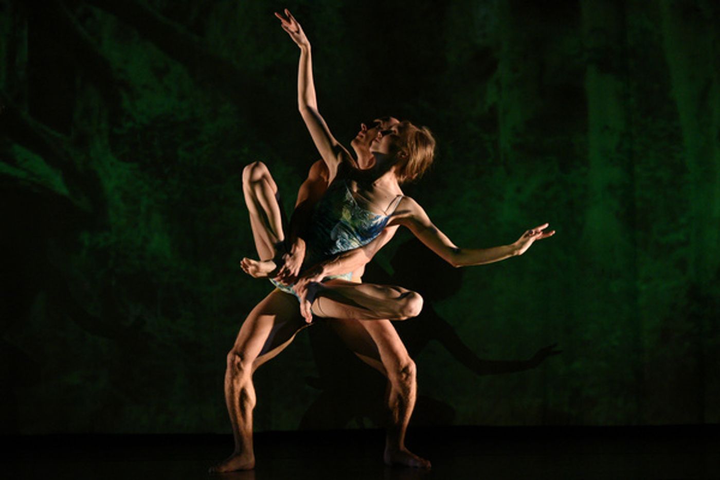 Photos: MOMIX to Bring ALICE to the Warner Theatre in January Photos: MOMIX to Bring ALICE to the Warner Theatre in January Image