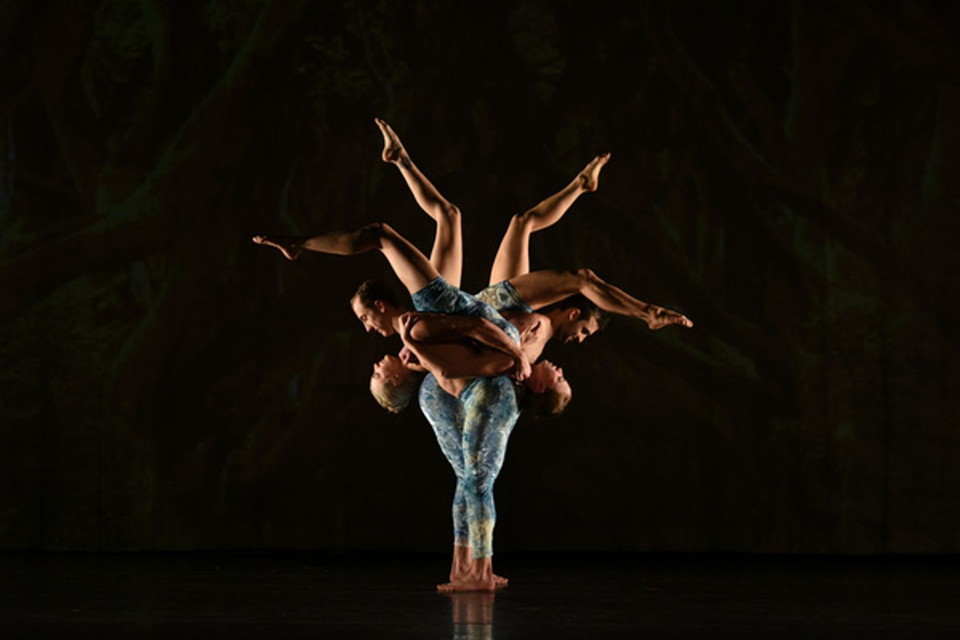 Photos: MOMIX to Bring ALICE to the Warner Theatre in January Photos: MOMIX to Bring ALICE to the Warner Theatre in January Image