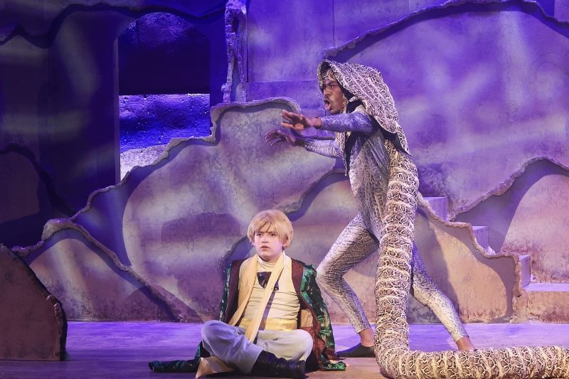 Review: THE LITTLE PRINCE at Opera In The Heights! Image