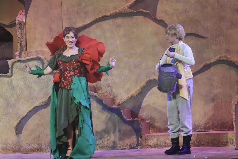 Review: THE LITTLE PRINCE at Opera In The Heights! Image