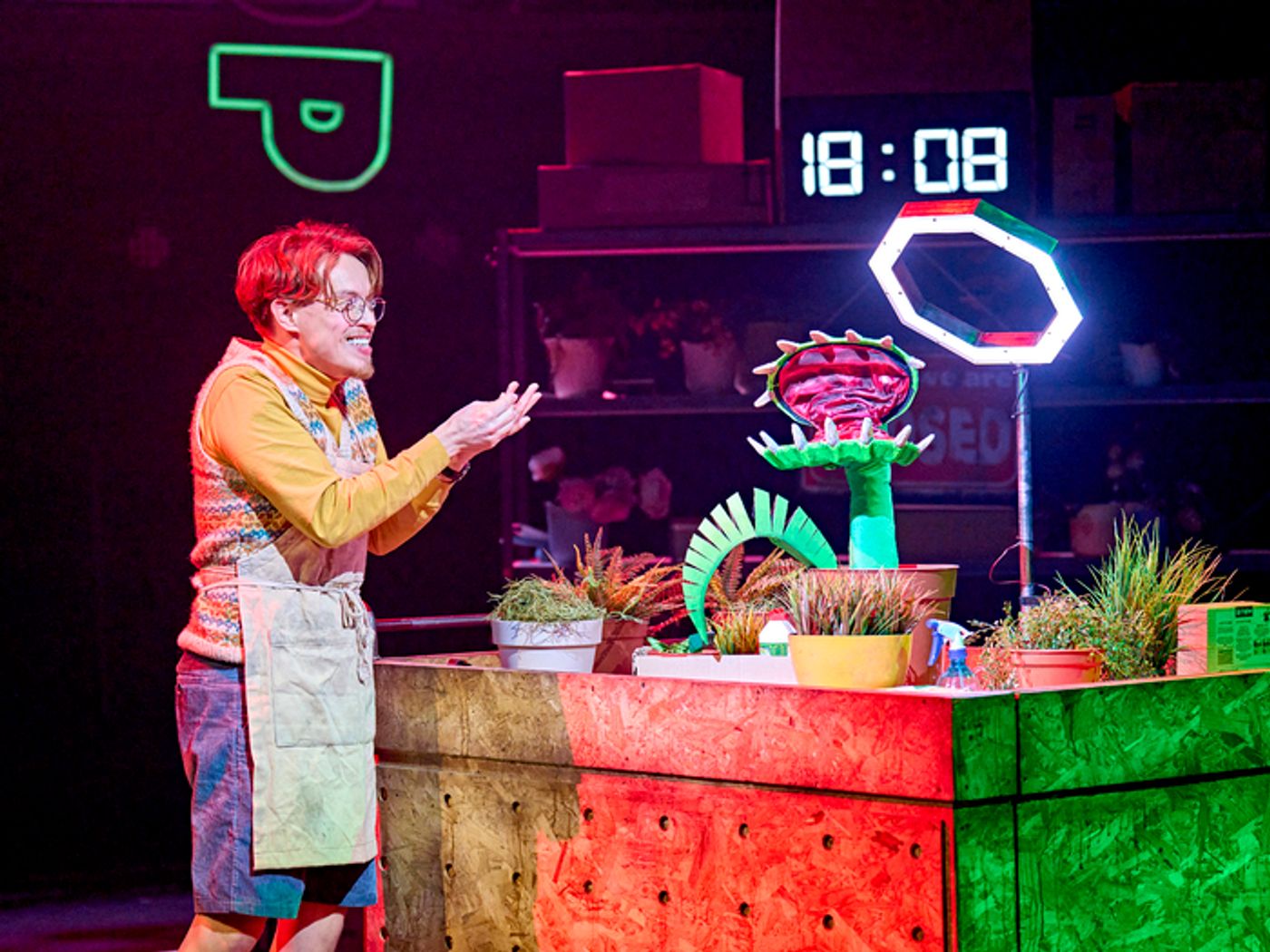 Photos: LITTLE SHOP OF HORRORS at the Crucible Theatre, Sheffield  Image
