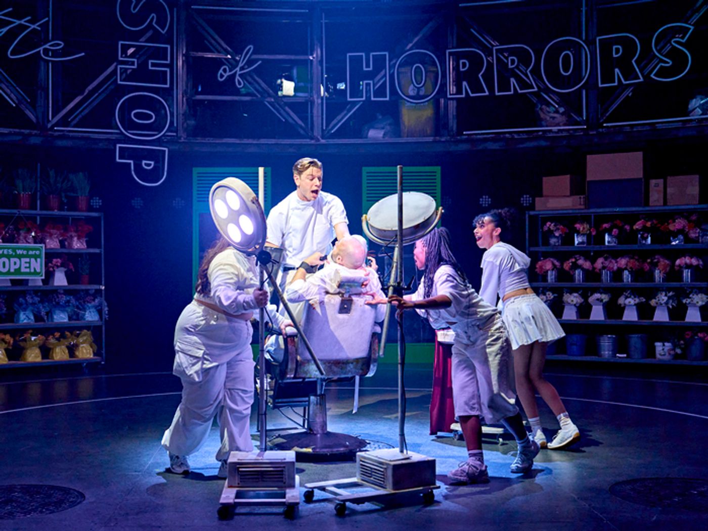 Photos: LITTLE SHOP OF HORRORS at the Crucible Theatre, Sheffield  Image