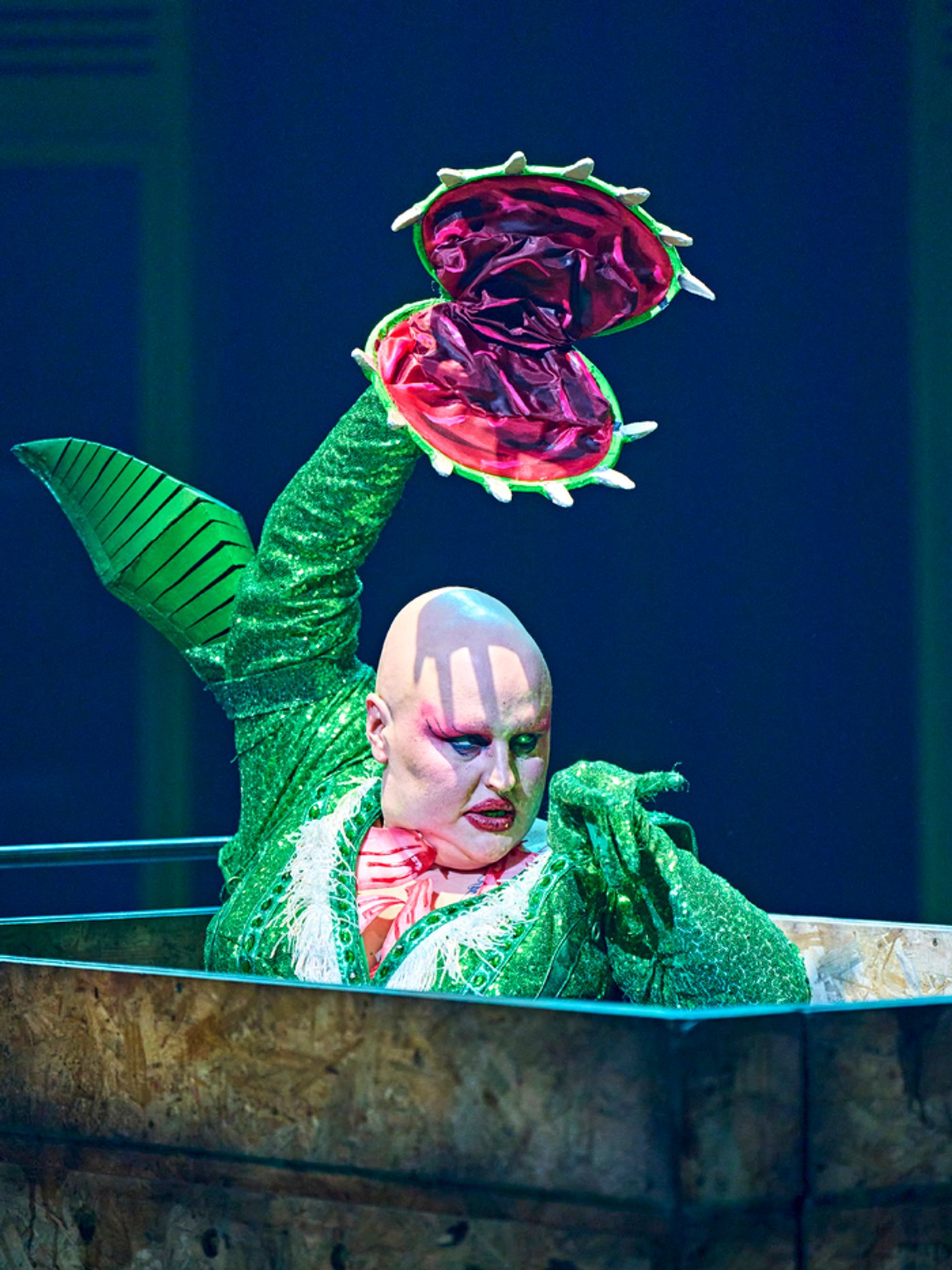 Photos: LITTLE SHOP OF HORRORS at the Crucible Theatre, Sheffield  Image