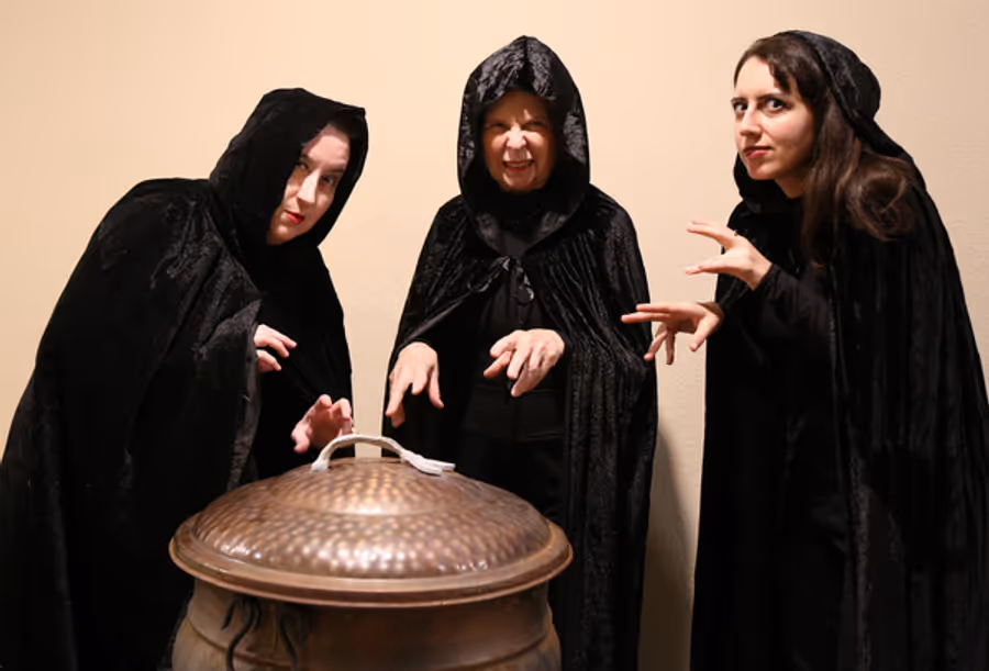 Photos: Rover Presents U.S. Premiere Of THE SHAKESPEARE CONSPIRACY Image