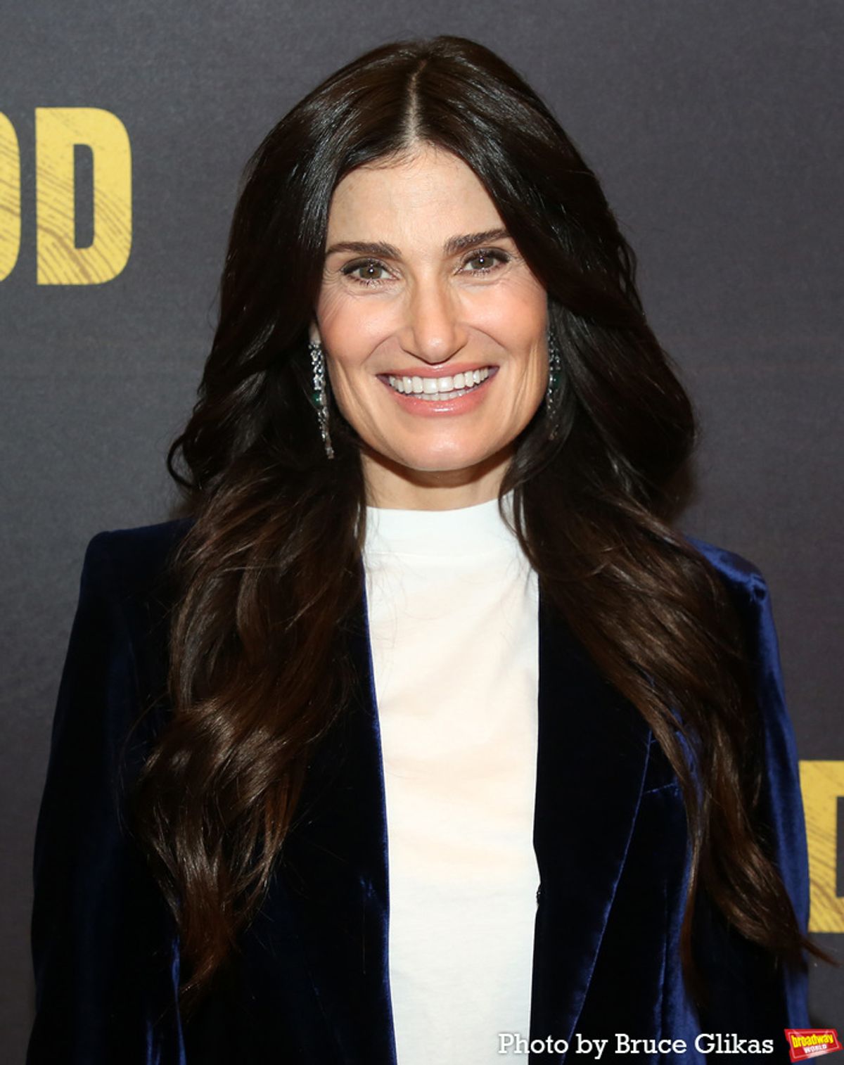 Idina Menzel at Photos: Idina Menzel and the Cast of REDWOOD Meet the Press