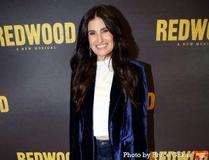 Idina Menzel Photo