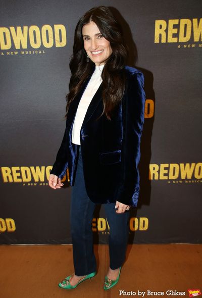 Idina Menzel Photo