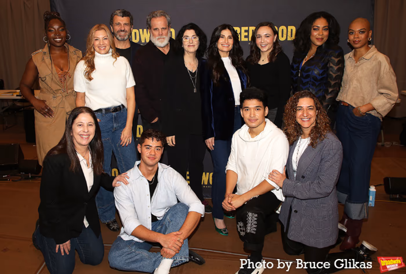 Photos: Idina Menzel and the Cast of REDWOOD Meet the Press  Image