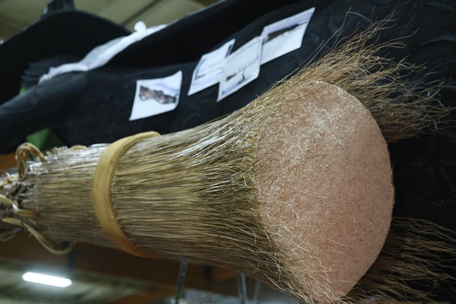 Photos: WICKED Float Comes to Pasadena's Rose Parade Image