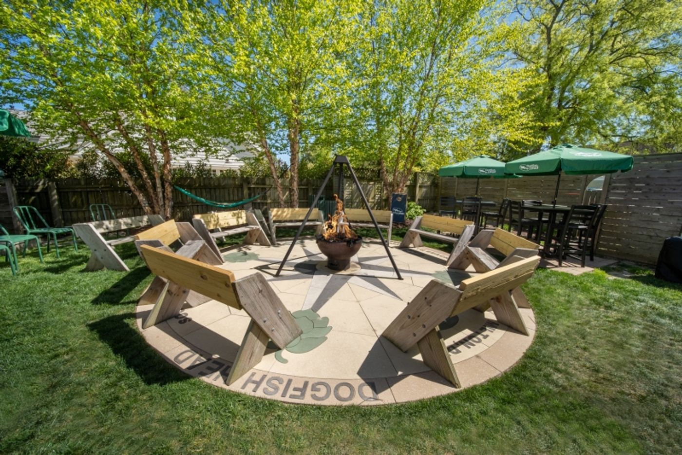 DOGFISH INN Located in Lewes, Delaware for a Great Winter Getaway DOGFISH INN Located in Lewes, Delaware for a Great Winter Getaway Image