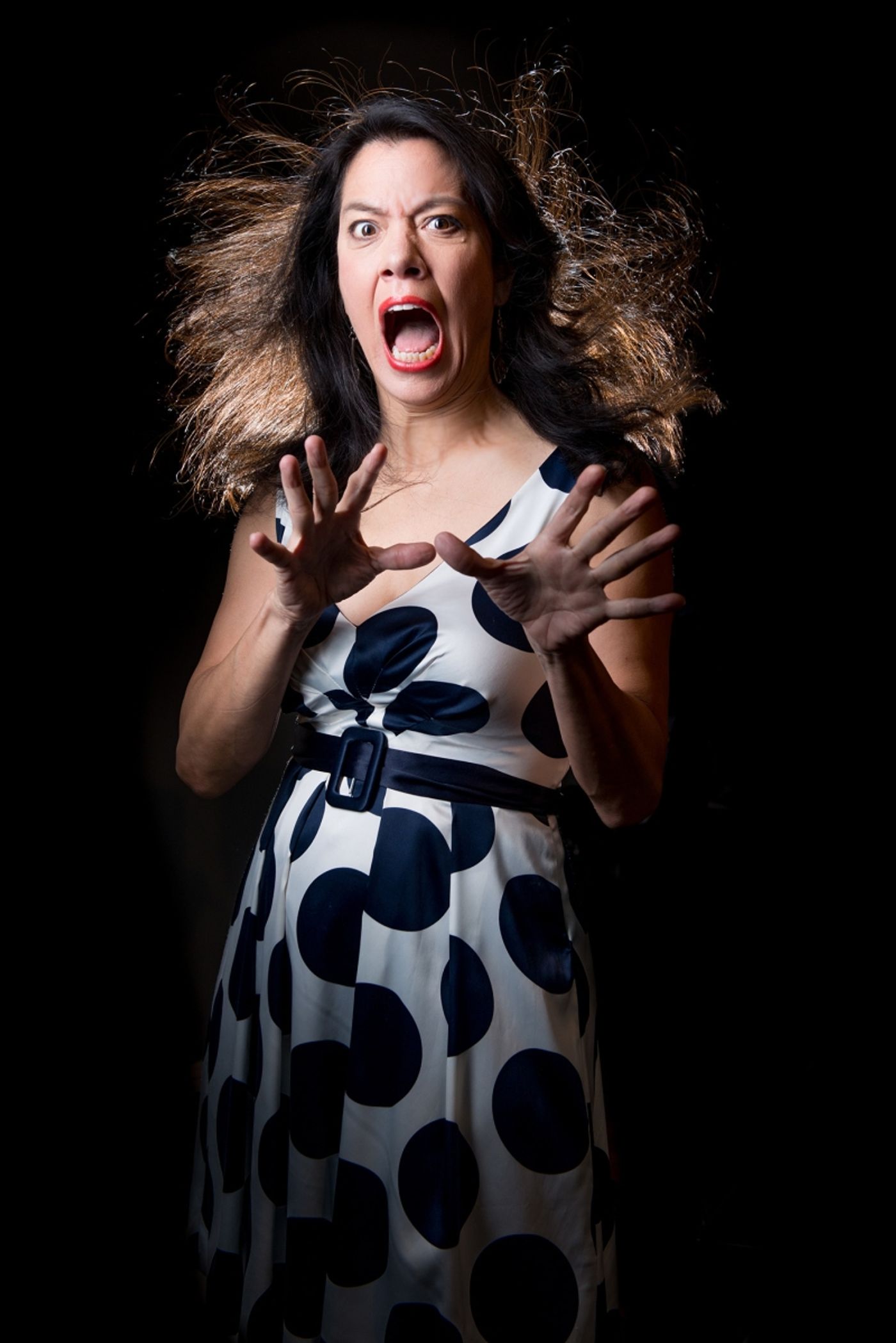 Interview: Sandra Tsing Loh on I’LL BURN THAT BRIDGE WHEN I COME TO IT  Image