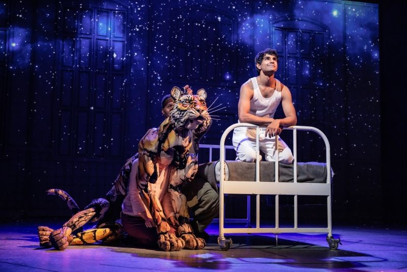 Interview: Taha Mandviwala of LIFE OF PI at Proctors Image