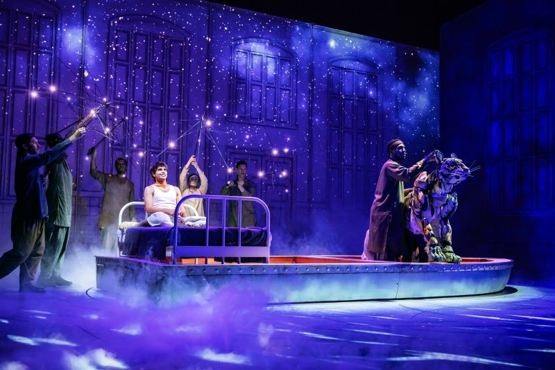 Interview: Taha Mandviwala of LIFE OF PI at Proctors Image