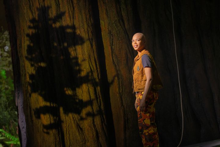 Redwood Production Photo