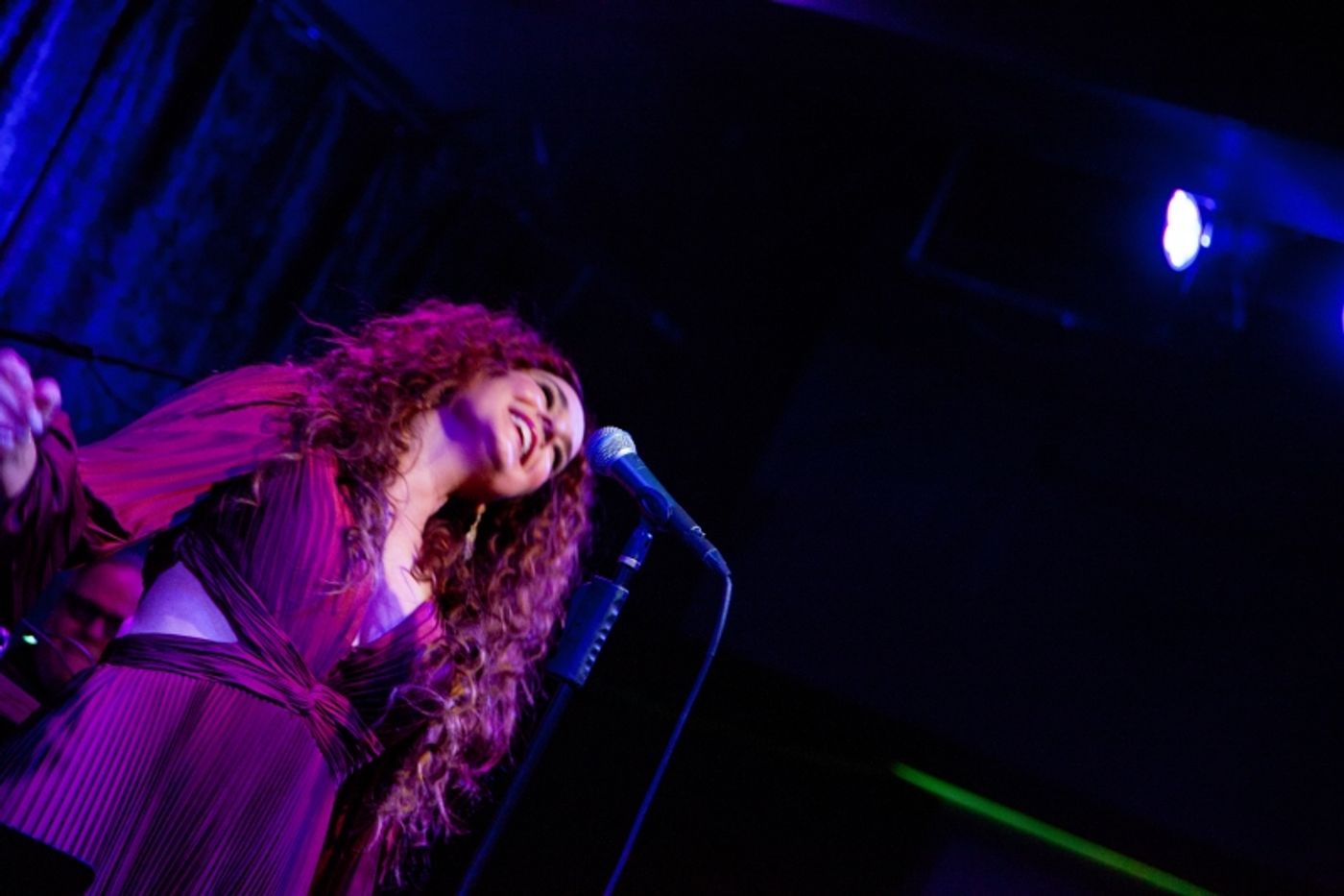 Review: Melissa Errico A Valentine Fantasy In I CAN DREAM, CAN'T I? at Birdland Theater Review: Melissa Errico A Valentine Fantasy In I CAN DREAM, CAN'T I? at Birdland Theater Image