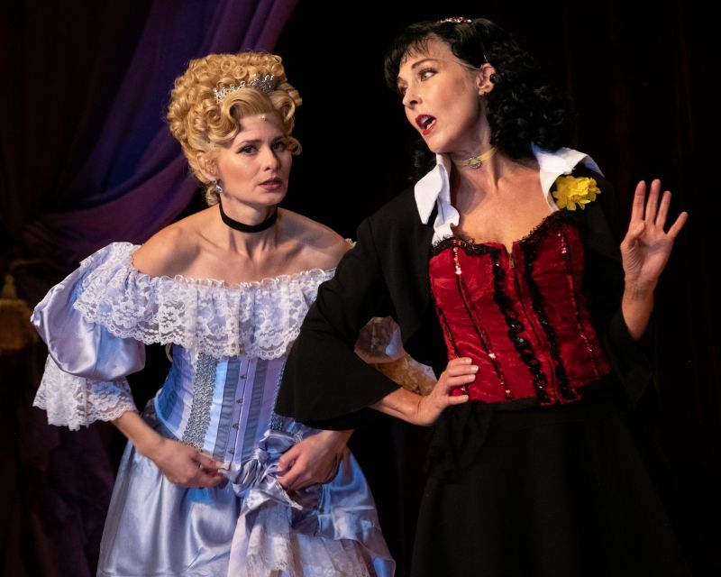 Previews: DISENCHANTED! at Straz Center Image