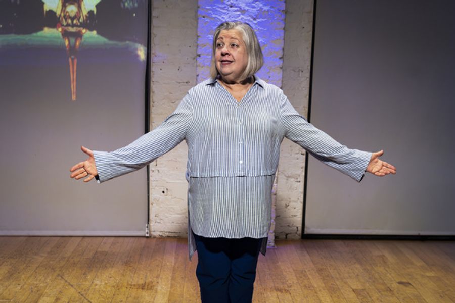 Photos: MAIDEN MOTHER CRONE Opens At The Pete At The Flea Image