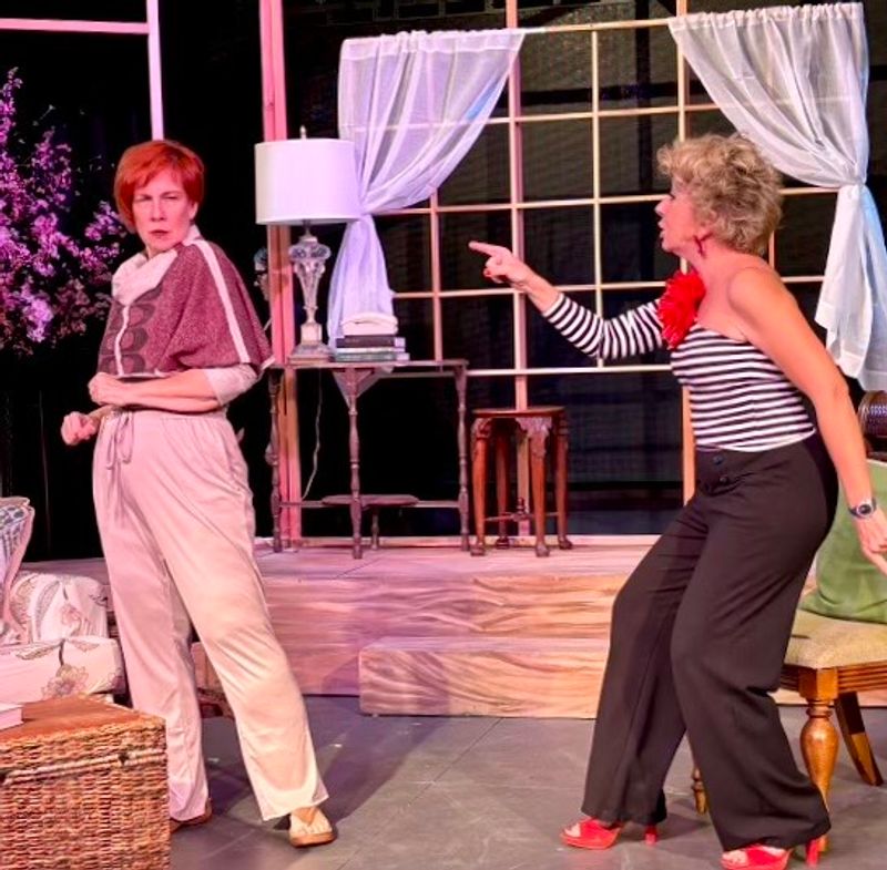 Review: VANYA AND SONIA AND MASHA AND SPIKE at Revolution Stage Company Image