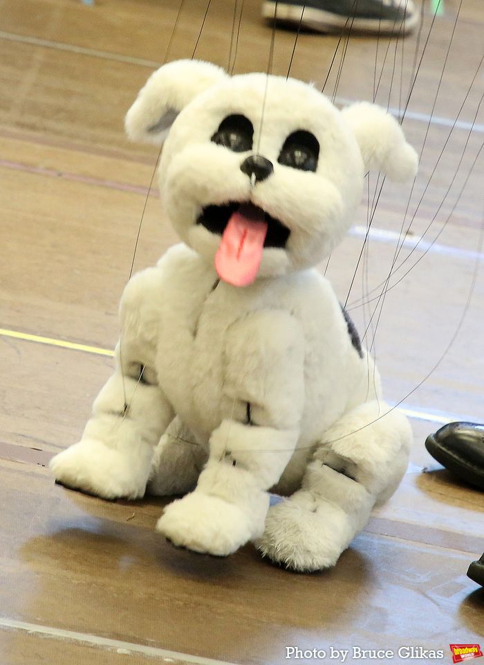 Photos: The Cast of BOOP! THE MUSICAL Meets the Press — photo 35 of 58