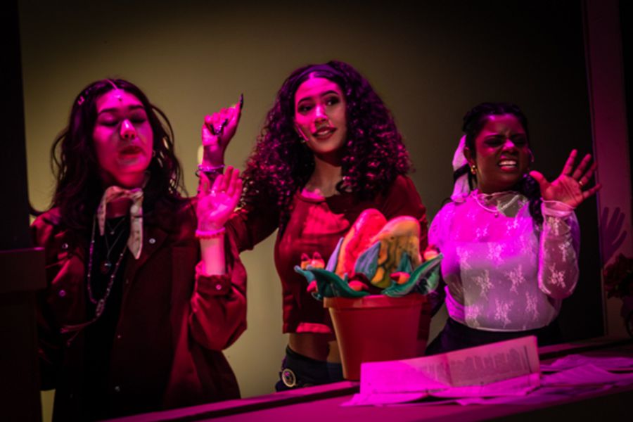 Photos: First look at Dublin Jerome High School Drama Club presents LITTLE SHOP OF HORRORS Image