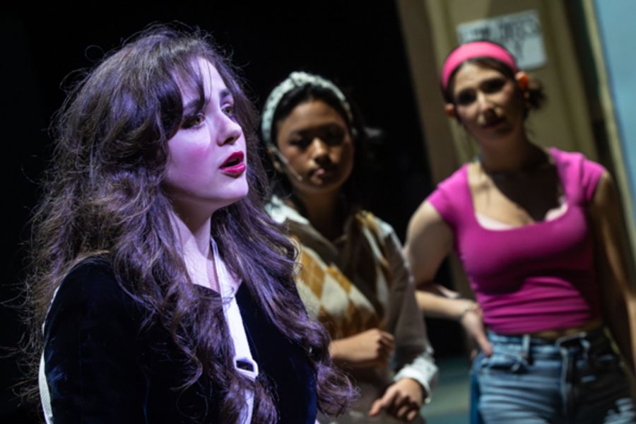 Photos: First look at Dublin Jerome High School Drama Club presents LITTLE SHOP OF HORRORS Image