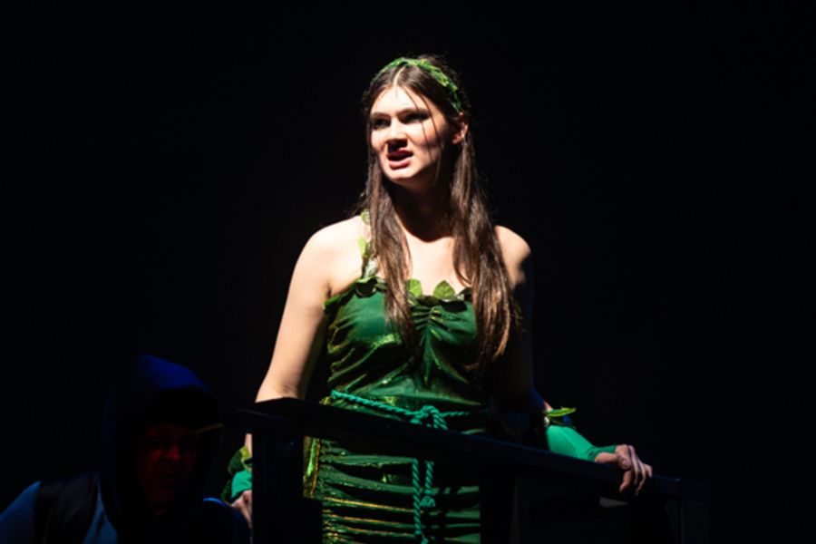 Photos: First look at Dublin Jerome High School Drama Club presents LITTLE SHOP OF HORRORS Image
