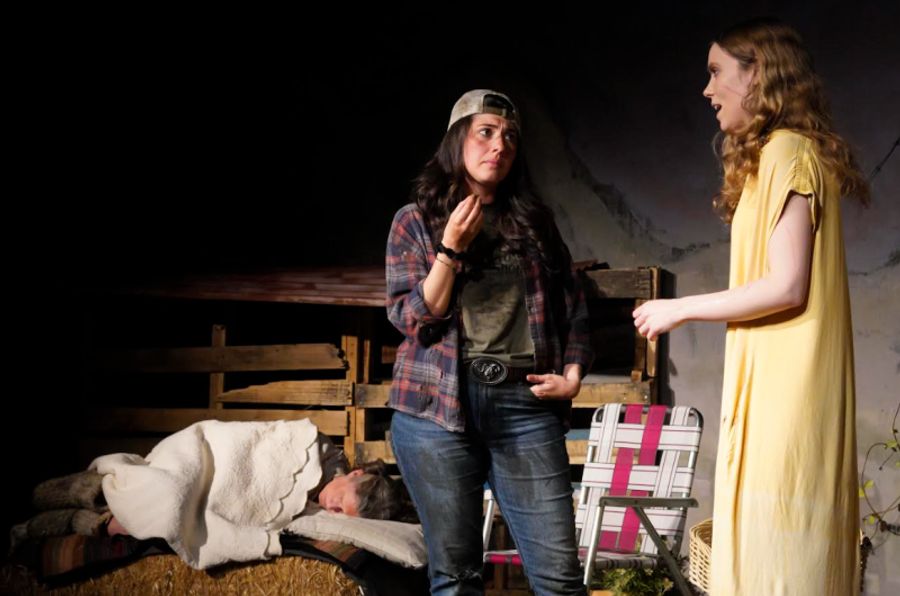 Review: ALABASTER at OnStage Playhouse Image