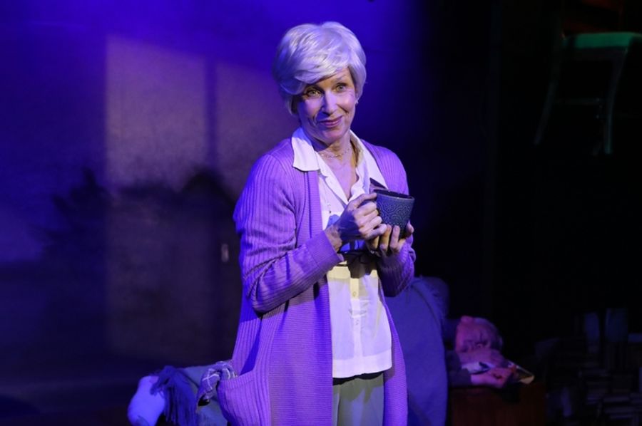 Photos: SUCH SMALL HANDS World Premiere At Bette Aitken Theater Arts Center Image