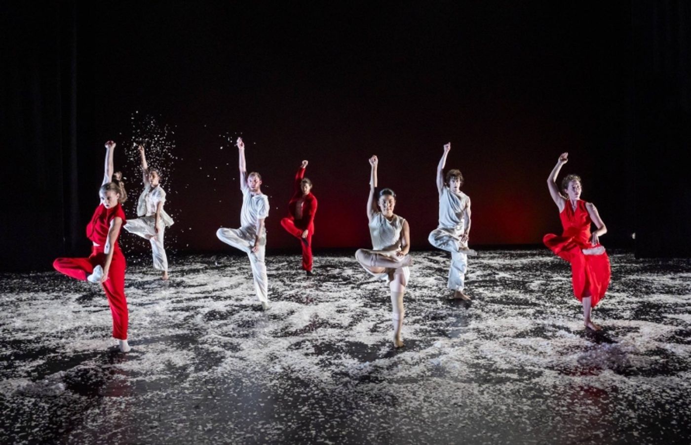 Review: JASMIN VARDIMON: NOW, Sadler's Wells East  Image