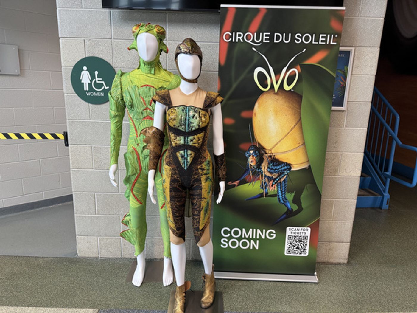 Photos: Cirque Du Soleil OVO Costume Installation On Display At Mohegan Arena At Casey Plaza Photos: Cirque Du Soleil OVO Costume Installation On Display At Mohegan Arena At Casey Plaza Image