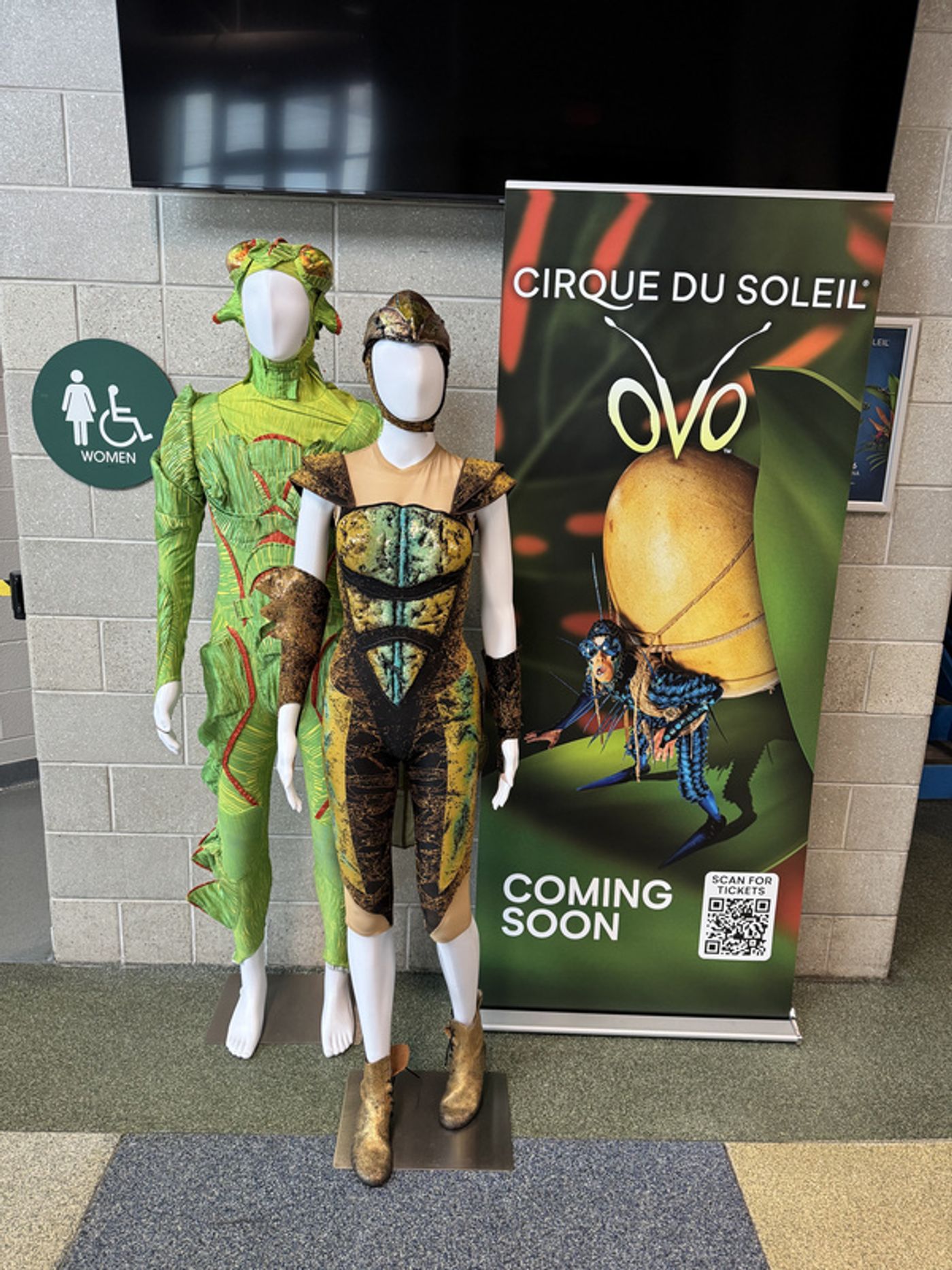 Photos: Cirque Du Soleil OVO Costume Installation On Display At Mohegan Arena At Casey Plaza Photos: Cirque Du Soleil OVO Costume Installation On Display At Mohegan Arena At Casey Plaza Image