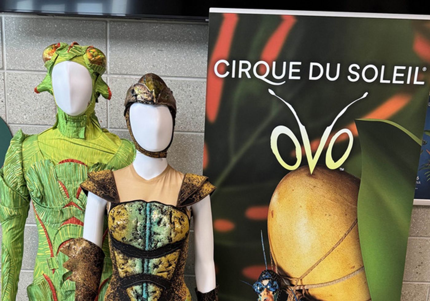 Photos: Cirque Du Soleil OVO Costume Installation On Display At Mohegan Arena At Casey Plaza Photos: Cirque Du Soleil OVO Costume Installation On Display At Mohegan Arena At Casey Plaza Image
