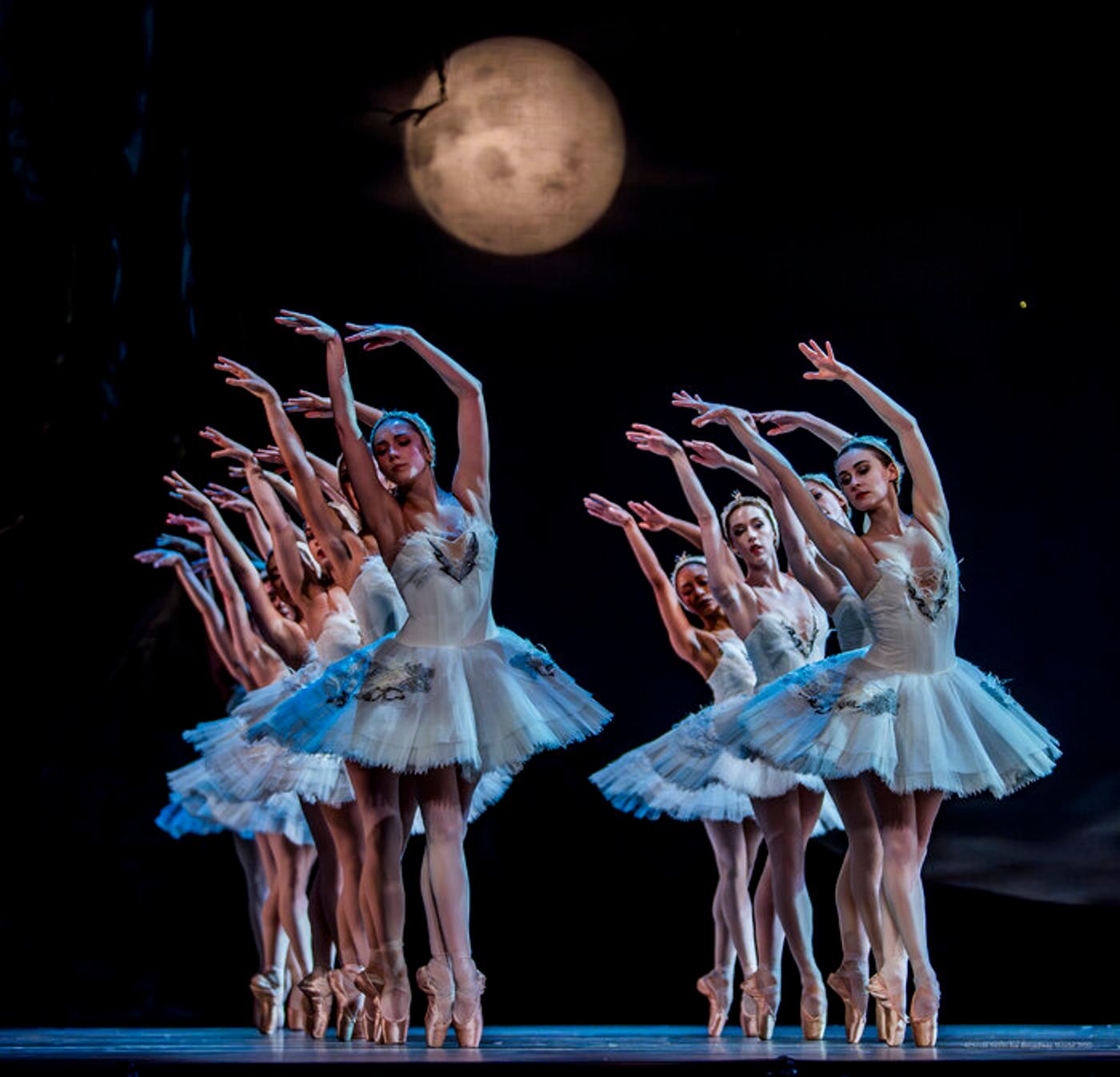 Review/Photos: SWAN LAKE at Academy Of Music  Image