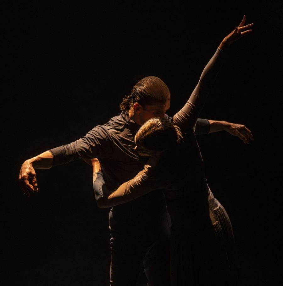 Review: FLAMENCO FESTIVAL at NY City Center Thrills Image