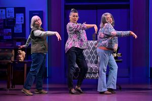 Lucinda Hitchcock Cone, Jacqueline De Muro, and Cindy Goldfield Photo