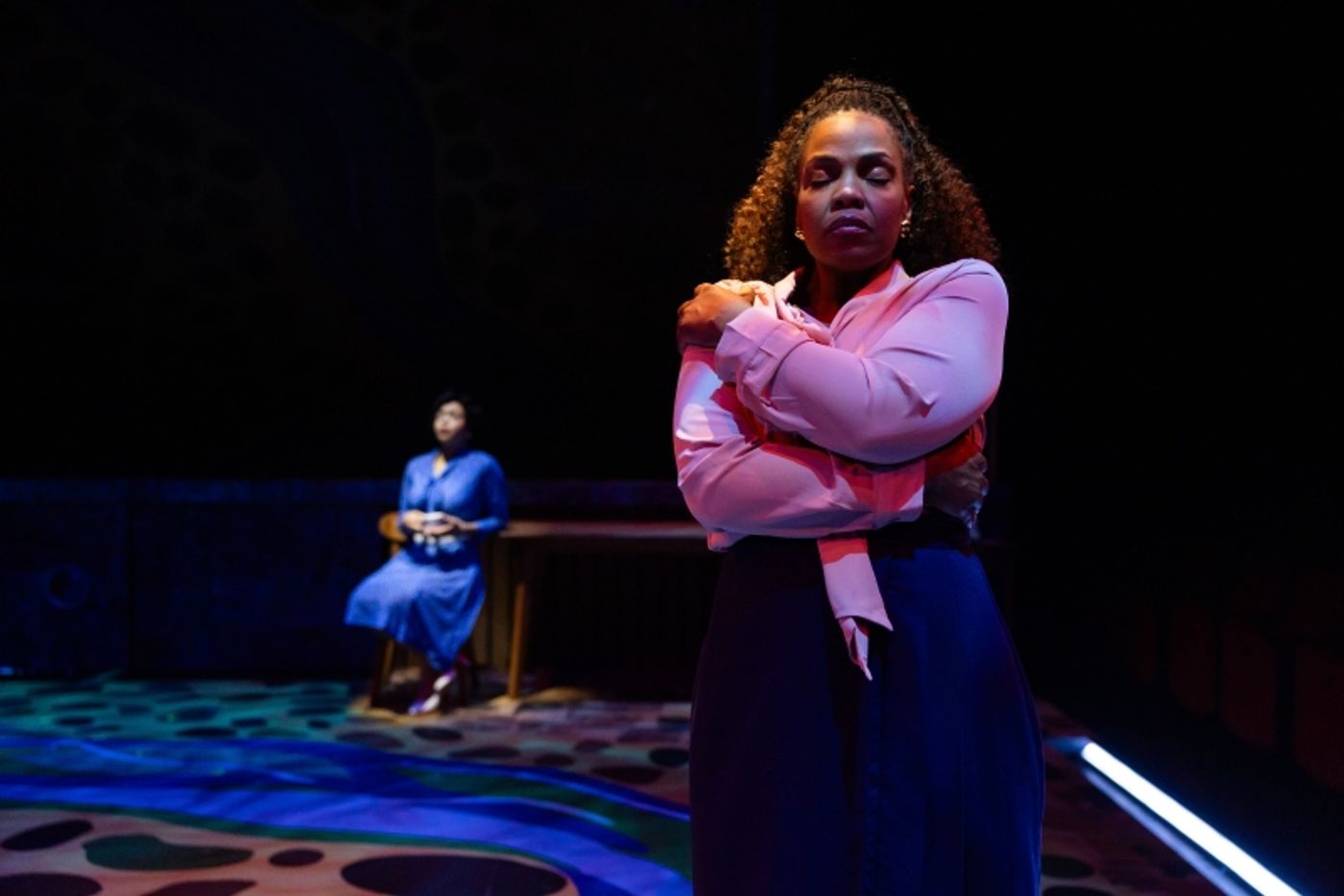 Interview: Sarah Sachi of THE RIPPLE, THE WAVE THAT CARRIED ME HOME at STAGES Houston  Image