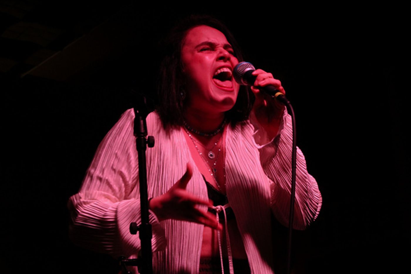 Photos: JUST MY TYPE: THE ANTI-BREAKDOWN CABARET at The PinkFrog Café Photos: JUST MY TYPE: THE ANTI-BREAKDOWN CABARET at The PinkFrog Café Image