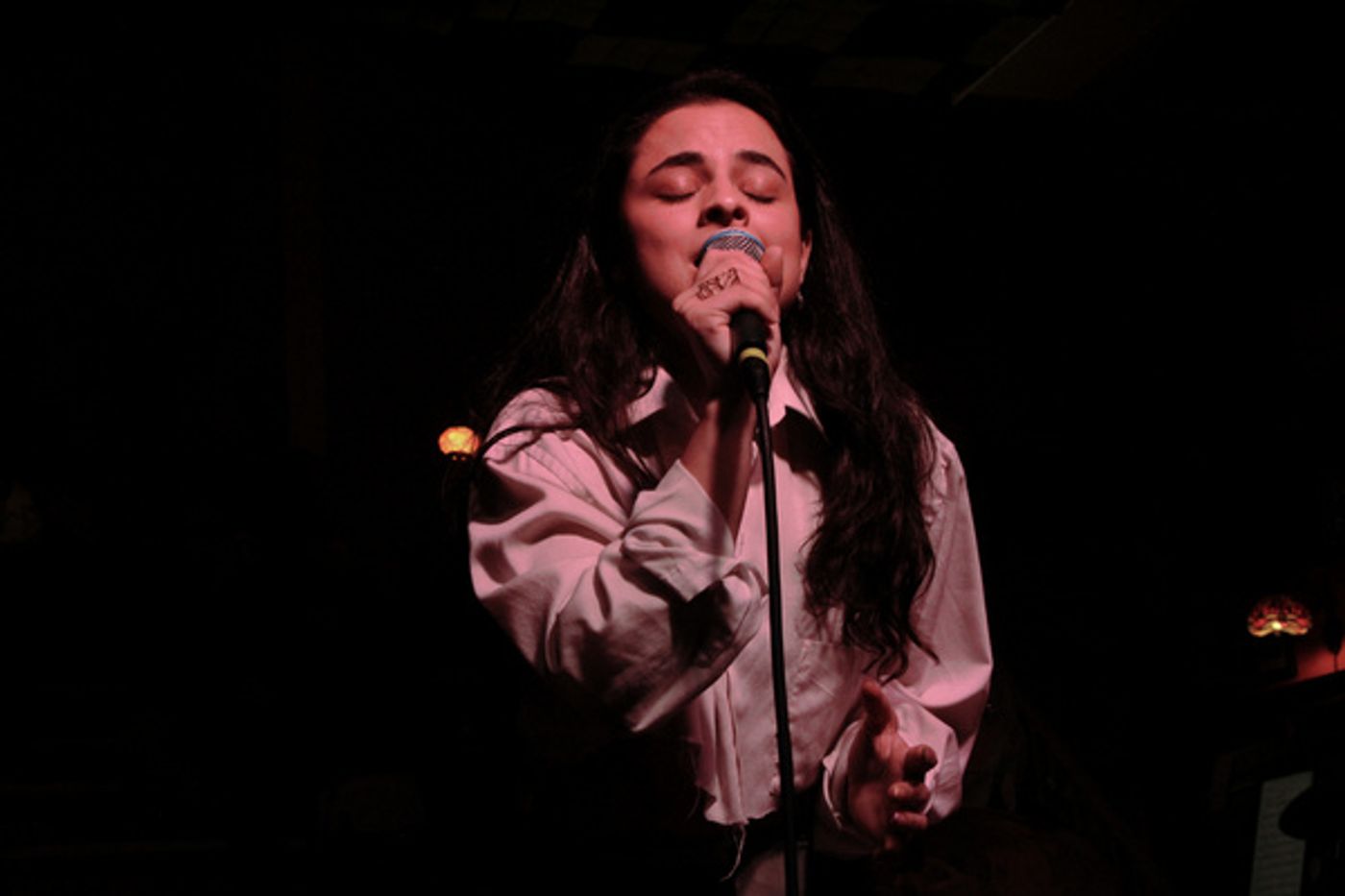 Photos: JUST MY TYPE: THE ANTI-BREAKDOWN CABARET at The PinkFrog Café  Image