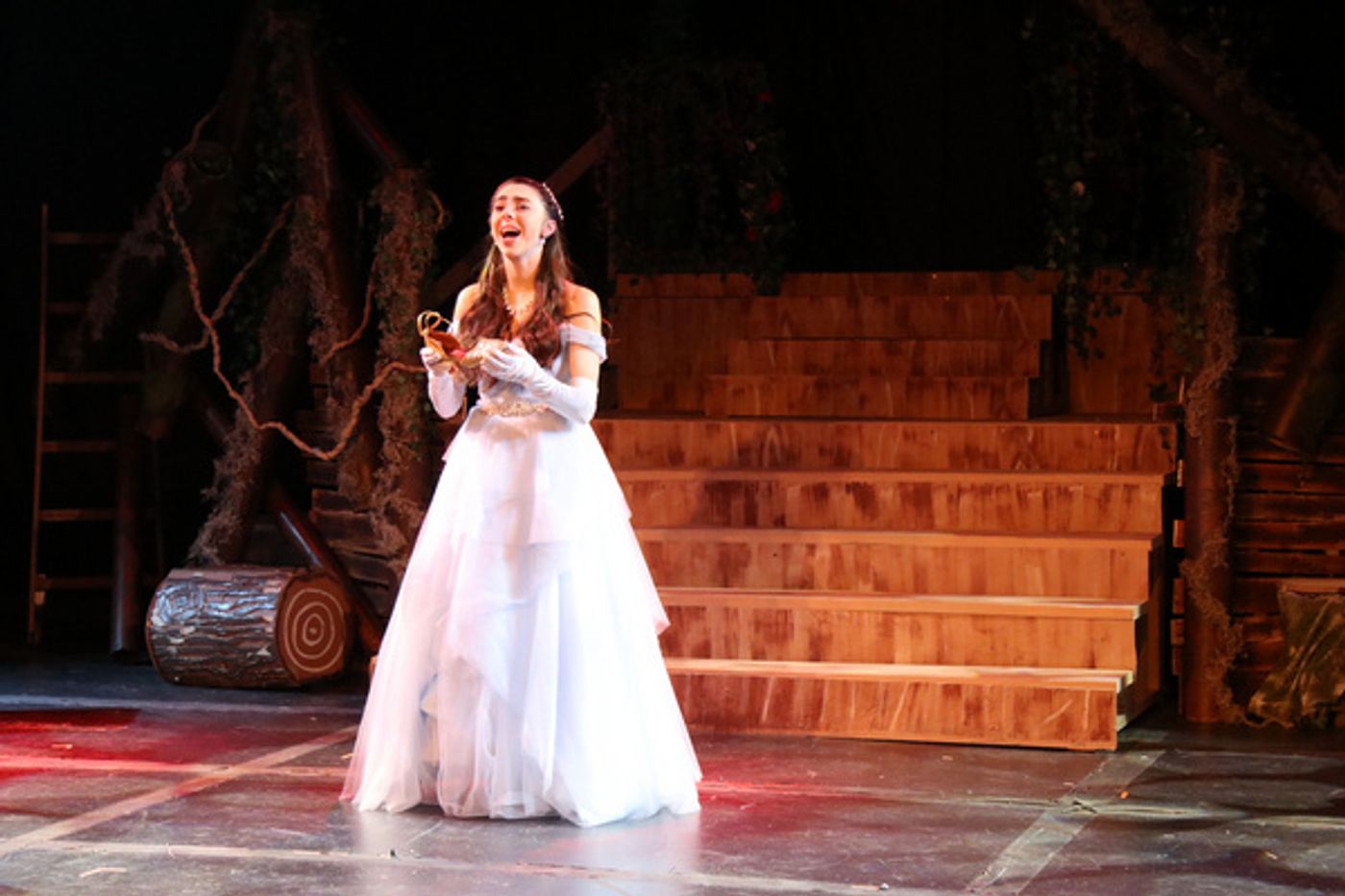 Photos: INTO THE WOODS at North Texas Performing Arts Repertory Theatre Photos: INTO THE WOODS at North Texas Performing Arts Repertory Theatre Image