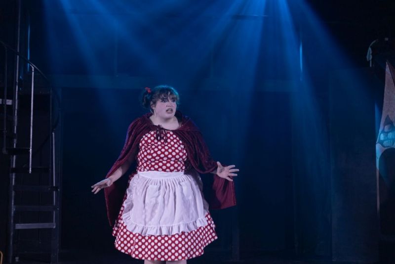 Review: INTO THE WOODS at The Royal Theatre Image