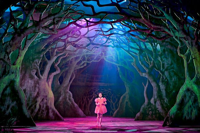 Photos: MY NEIGHBOUR TOTORO Extends in the West End — photo 11 of 17