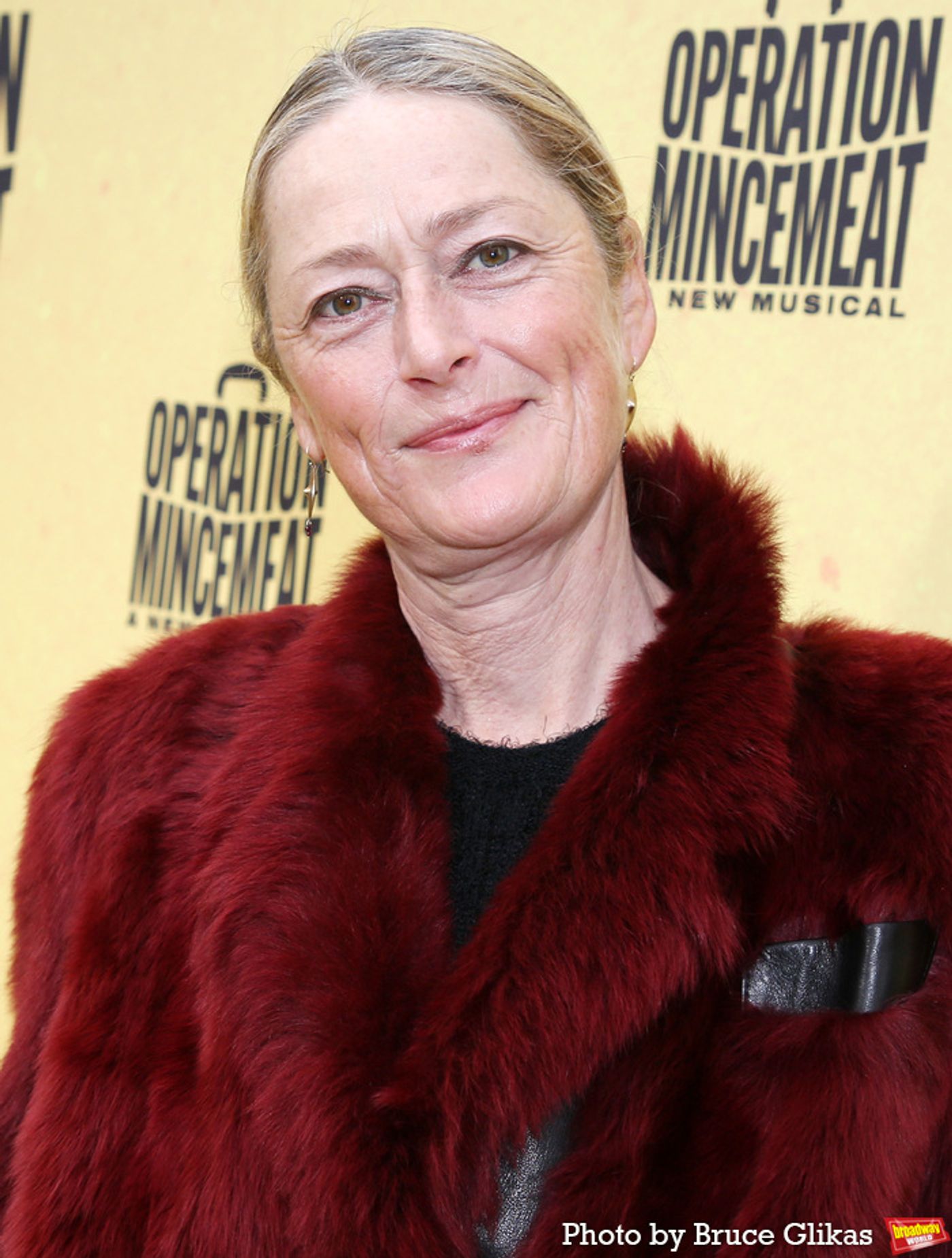 Photos: Stars Walk the Red Carpet on Opening Night of  OPERATION MINCEMEAT  Image