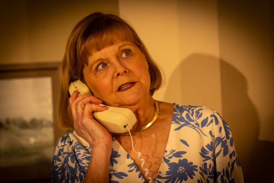 Photos: First look at Curtain Players’ WHOSE WIVES ARE THEY ANYWAY? Image