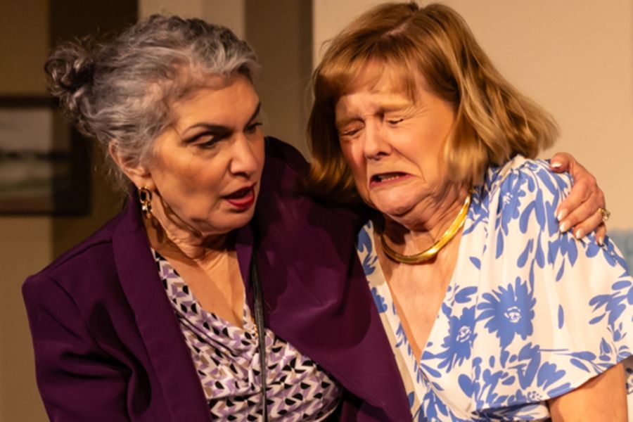 Photos: First look at Curtain Players’ WHOSE WIVES ARE THEY ANYWAY? Image
