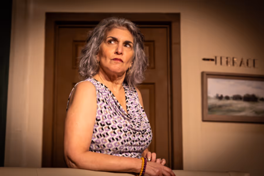 Photos: First look at Curtain Players’ WHOSE WIVES ARE THEY ANYWAY? Image