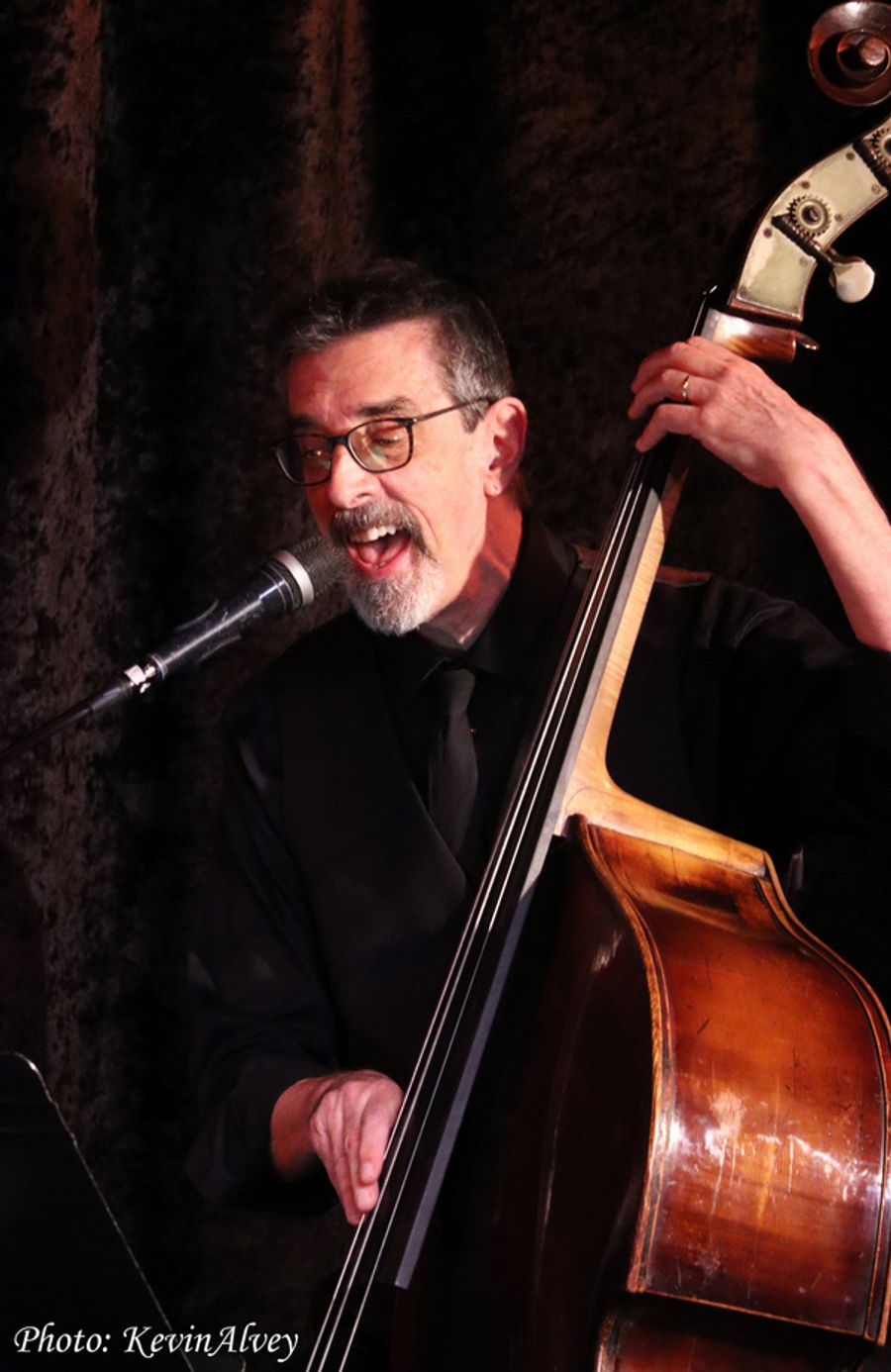 Photos: Karen Mason Returns To the Birdland Jazz Stage Image