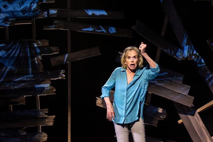 Photos: Linda Purl Stars in World Premiere of CRAZY MAMA at Rubicon Theatre Company — photo 4 of 13