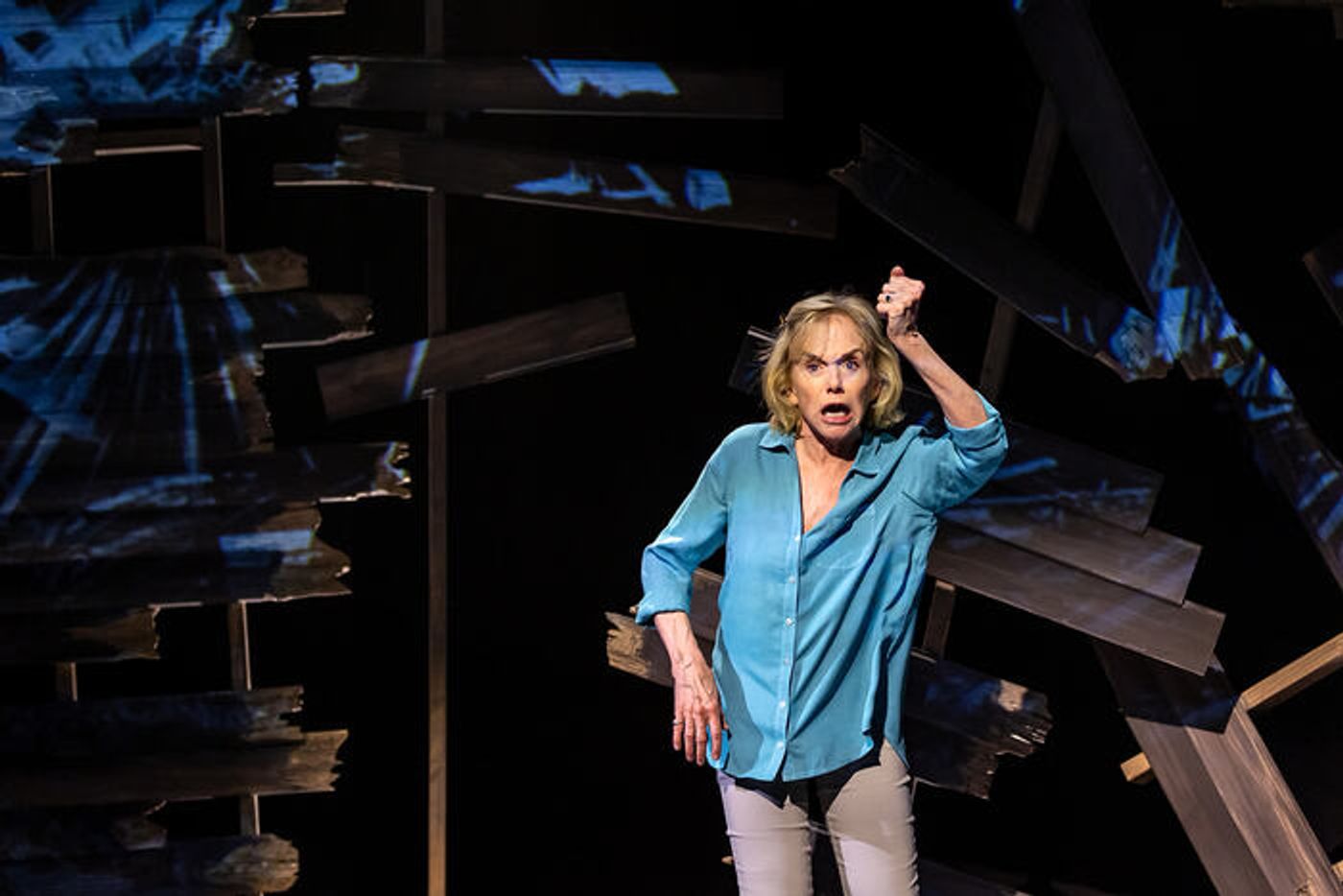 Photos: Linda Purl Stars in World Premiere of CRAZY MAMA at Rubicon Theatre Company  Image